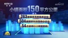    【一线调研】织进面料里的“立异因