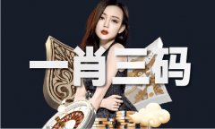<b>港澳台码是什么体验服下载V</b>
